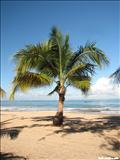 Carolina Beach - CAROLINA